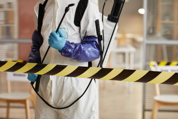 Professional Sewage Cleanup technician working in Lyons, MI